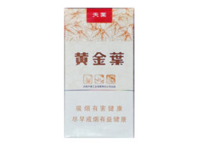 6元渡江香烟价格